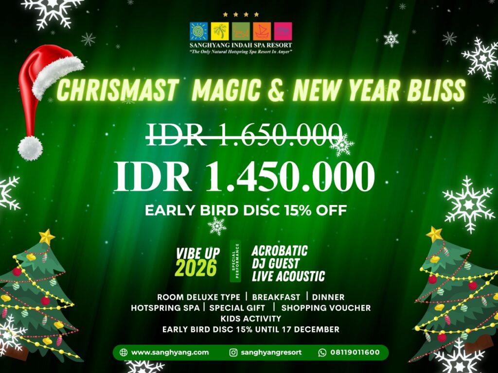 Christmas and New Year Promo